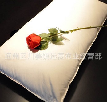 羽丝绒枕芯图3