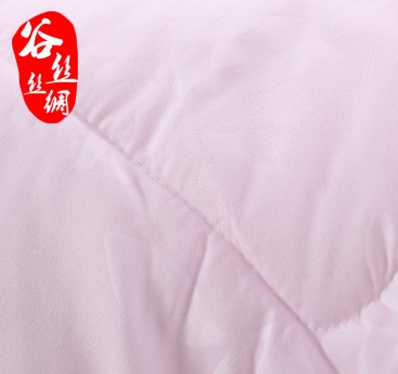 新款蚕丝被夏凉被空调被图2
