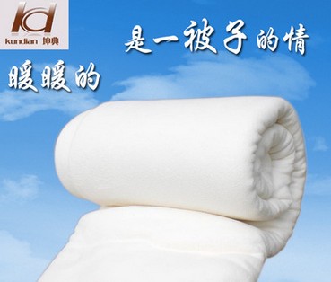 新疆无网棉被图3