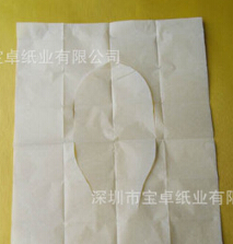 【英文通版十片装】 可溶水型 一次性马桶坐垫纸 英文中性包装图3