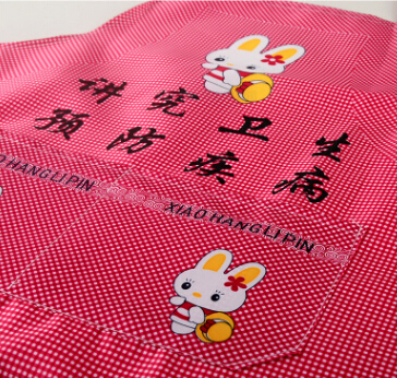 厂家直销特价围裙细格子边 专业生产定制围裙 批量定做广告围裙图3