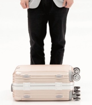 F.N.BIRD拉杆箱图3