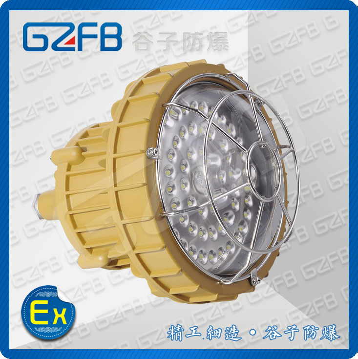 GZD350-LED防爆灯图2