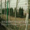 养殖荷兰网@绿色养殖荷兰网@绿色养殖荷兰网生产厂家