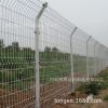 专业批发 浸塑双边丝护栏网 市政园林防护网