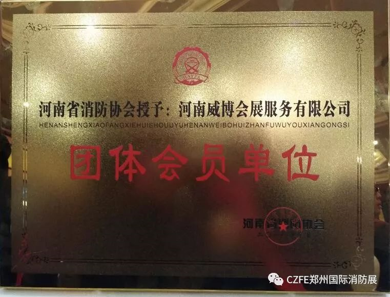 图片6