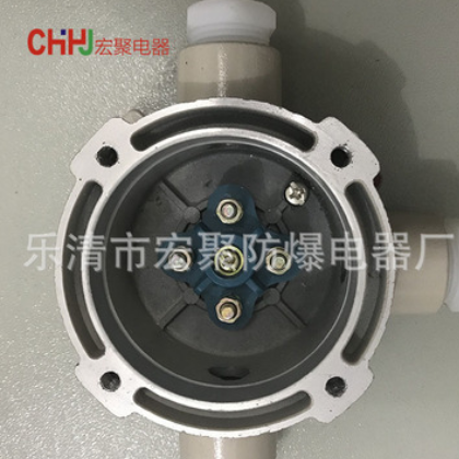 防爆接线盒IIC级螺旋式接线盒|带端子防爆接线盒G1/2G3/4两通三通图2