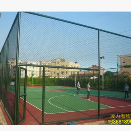 杭州凌力海定制 运动场铁丝网 球场隔离网 学校勾花网 护栏