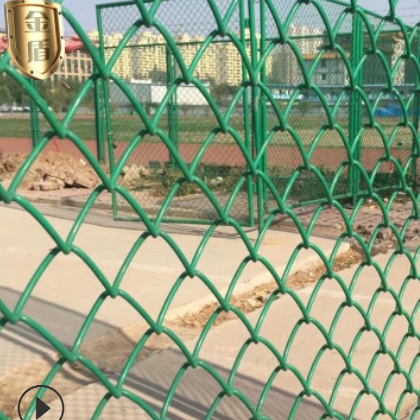 【勾花网】批发供应足球场围网 球场PVC勾花网 包塑绿色勾花网