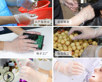 厂家直销一次性pvc手套 无粉美容牙科纹身美甲食品级透明pvc手套图3