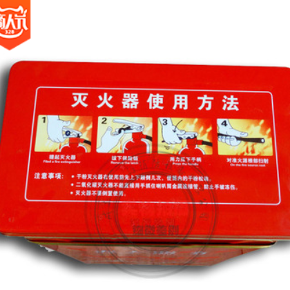 2017新款灭火器箱子4*2 国标火警119灭火箱 4kg灭火器2个装消防箱图3