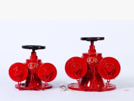 厂家直销 消防器材批发 天兴水泵接合器SQD100，SQD150
