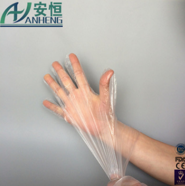 银杏 一次性手套 加厚型 低压塑料 pe手套100只/包图2