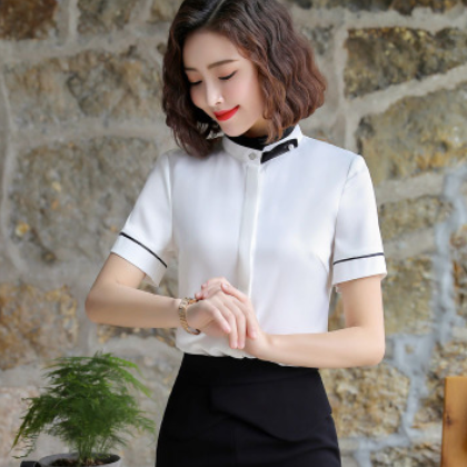 职业装2019夏季新款衬衫女短袖时尚衬衣修身显瘦OL通勤工作服批发图3