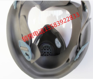 防毒全面具大视野面罩6800同款防尘打农药防毒面具配滤盒防护面具图2