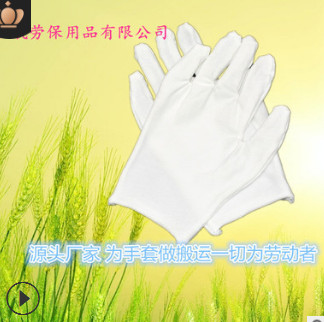 白色作业手套 劳保手套 机制白手套文玩盘珠礼仪表演棉布手套薄款图2