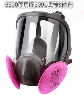 防毒面具防尘喷漆化工专用消防6800全面罩军工业甲醛农药防毒面罩