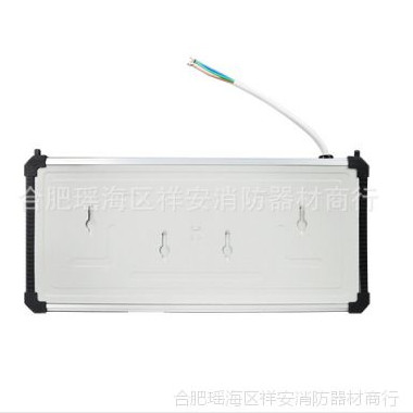 艺光 安全出口指示灯 安全出口指示牌 应急标志 消防灯具图2