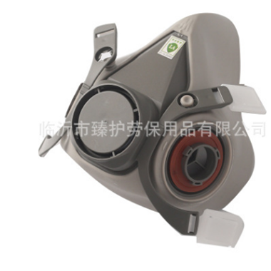 批发装修粉尘面罩 6200防毒面具喷漆专用化工消防口罩一件代发图2