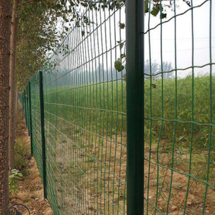 荷兰网 绿色铁丝网 高速公路隔离栅 PVC材质 鸡鸭养殖网 临时围护