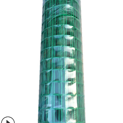 现货供应 养鸡鸭养殖场铁丝网 荷兰网 圈山圈地包塑铁丝围栏图3