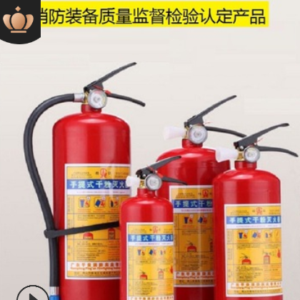 广州直销 消防器材4kg灭火器 手提式干粉灭火器1~8kg 车载灭火器图2