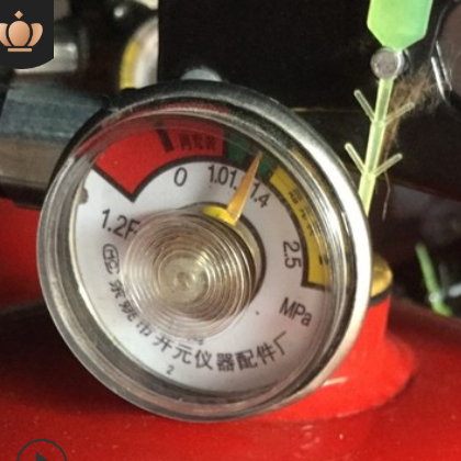 广州直销 消防器材4kg灭火器 手提式干粉灭火器1~8kg 车载灭火器图3