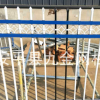 厂家批发铁艺框架围栏锌钢护栏 小区围墙安全隔离锌钢护栏定做