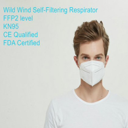 CE证书WW KN95口罩 FFP2民用口罩 个人呼吸防护量大优惠图3