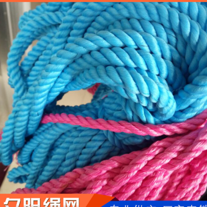 厂家现货供应 耐用安全绳 优质涤纶弹丝绳 量大价优【图】