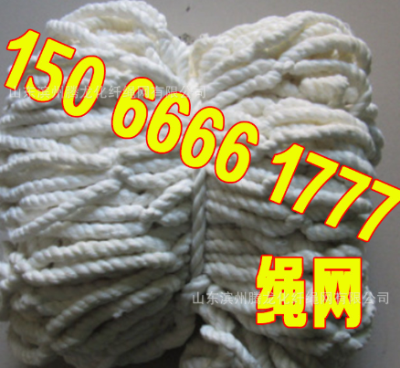 供应 优质 塑料绳网 弹力丝绳网 建筑网 防护网 安全绳网 【图】
