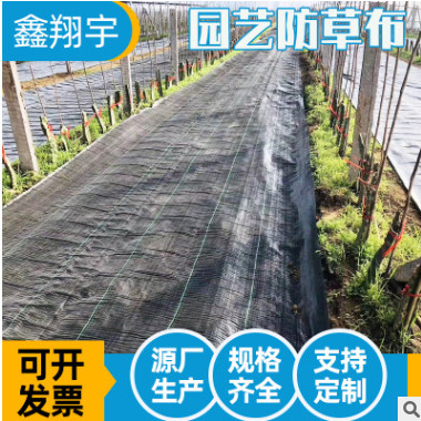 果园大棚园艺防草布 抑草透气渗水除草布 定做黑色农用园艺地布图2