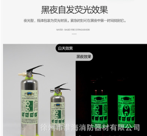 供应淮海牌手提式水基型泡沫灭火器 消防器材 绿瓶可灭电火图2