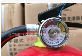 厂家供应4公斤干粉灭火器手提式灭火器带检测报告便携式车载家用图3