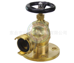 中岛式消火栓 DN65图3