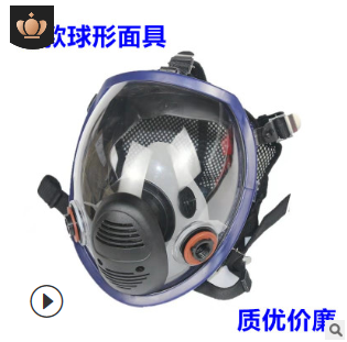 防毒面具全面罩呼吸器化工毒气消防打农药防工业粉尘防尘面罩口罩图3