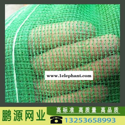 鹏源 ** 安全网 建筑防护网 密目网 工地隔离安全网 防尘遮阳绿化盖土网图3