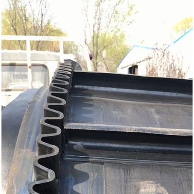 带防尘罩输送机滚筒式 建材专用图2