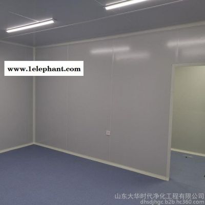 大华时代净化 口罩无菌车间 无菌实验室 山东无菌车间图2