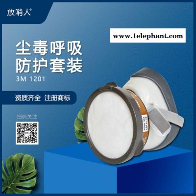 3M1201 尘毒呼吸防护套装 防毒口罩   防尘毒半面罩图4