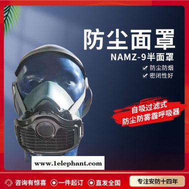 防毒半面具 ANMZ-9 半面具防毒口罩 双过滤器半防毒面罩