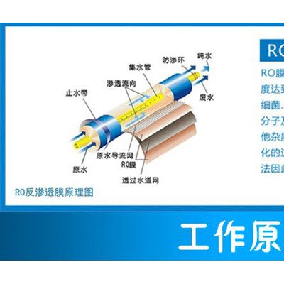 金士博翔龙版防尘罩纯水机家用直饮机厨房自来水净水机50G加仑反渗透纯净水过滤器自吸泵版图7