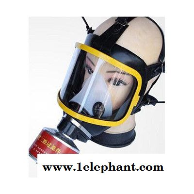 诺安 NAMZ 3 防毒面具 大视野防毒面具 防毒面具价格 防毒面罩 防毒面具价格图3