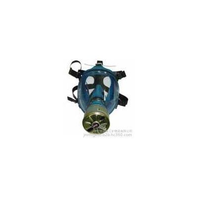 防毒面具(国产)质量    防毒面具(国产)功能  防毒面具(国产)价格润煤图4