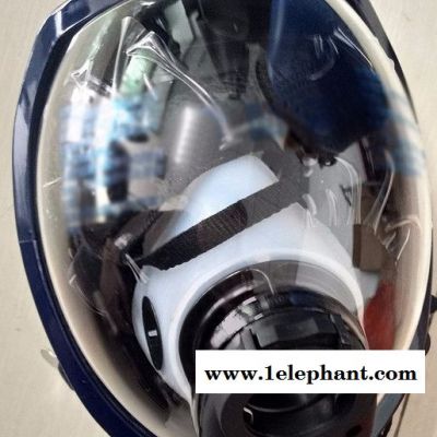 防毒面具厂家防毒面具销售防毒面具型号防毒面具系列防毒面具用途防毒面具规格图8