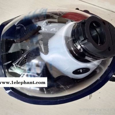 防毒面具厂家防毒面具销售防毒面具型号防毒面具系列防毒面具用途防毒面具规格图2