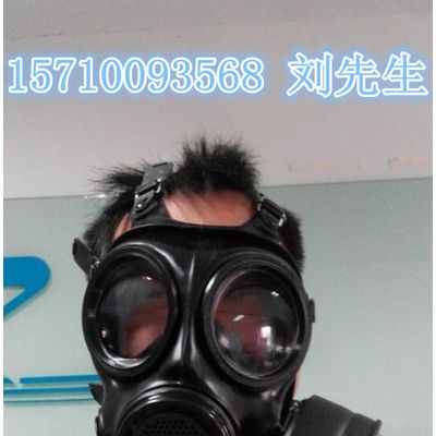防毒面具规格,防毒面具图片,防毒面具参数,防毒面具品牌,防毒面具厂家,防毒面具参数,防毒面具经销商图2