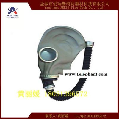 专业销售爱瑞斯全面罩防毒面具 质量保障图3
