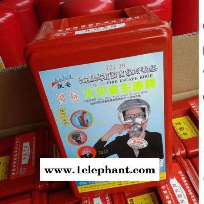 凯安TZL30 防毒面具图1