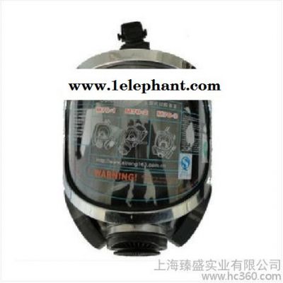 供应思创M70-3双罐防毒面具 全面罩 喷漆专用防护面具 防毒面罩图2
